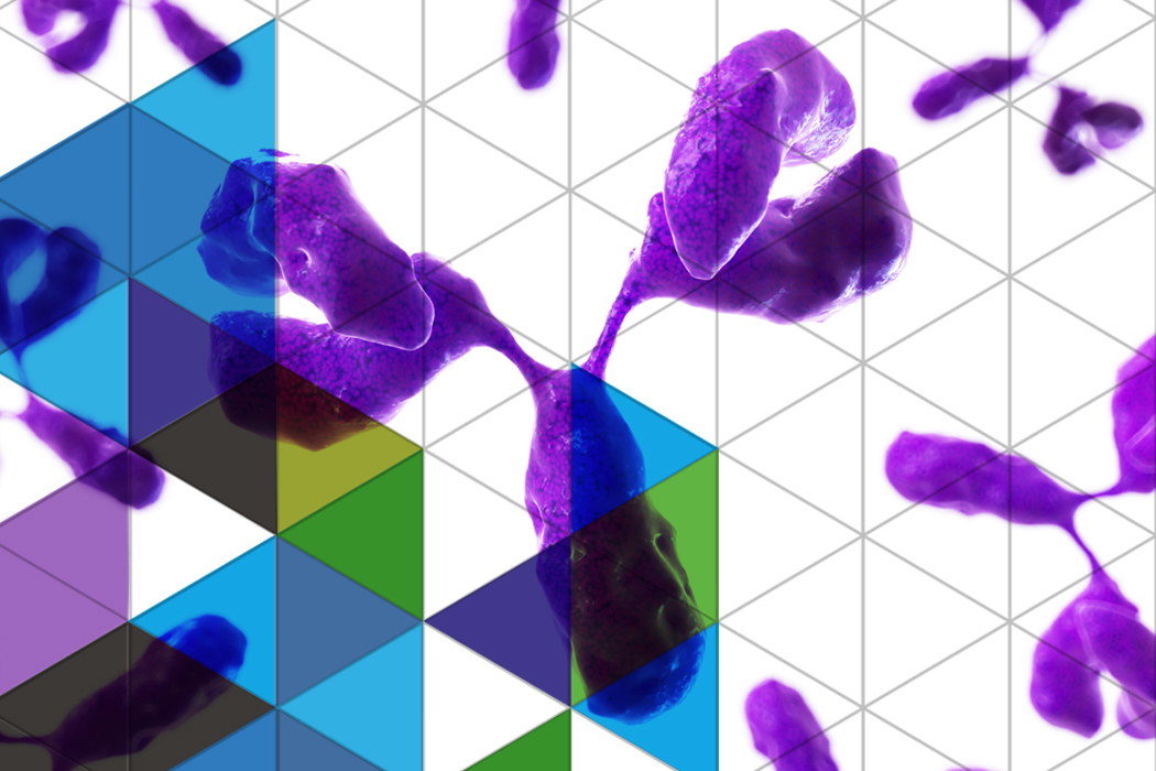 sample-image
