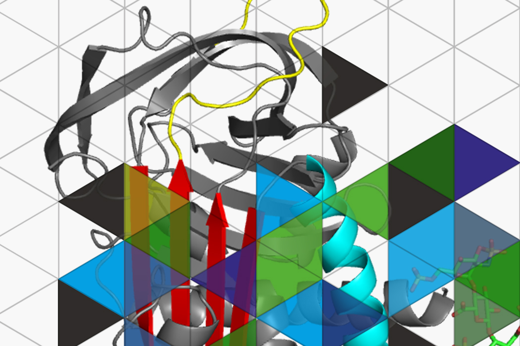 sample-image
